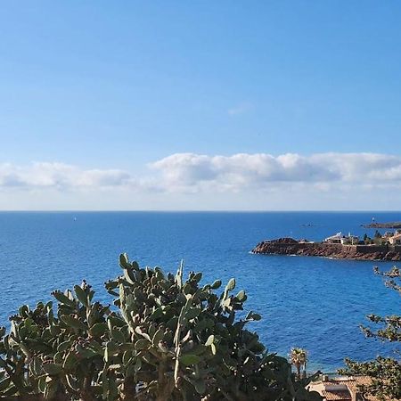 Petit Paradis Vue Mer- Plage Et Calanques A 3 Mn Saint-Raphaël Extérieur photo